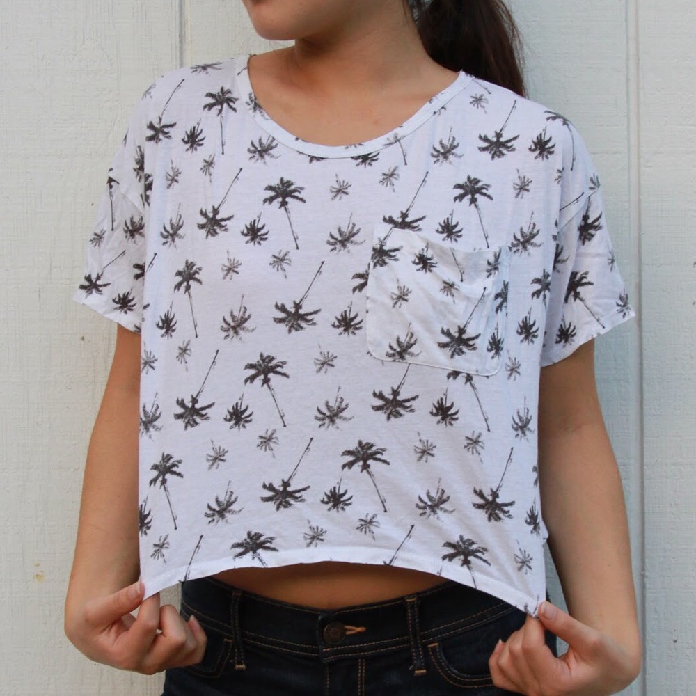 Hollister Crop Top XS